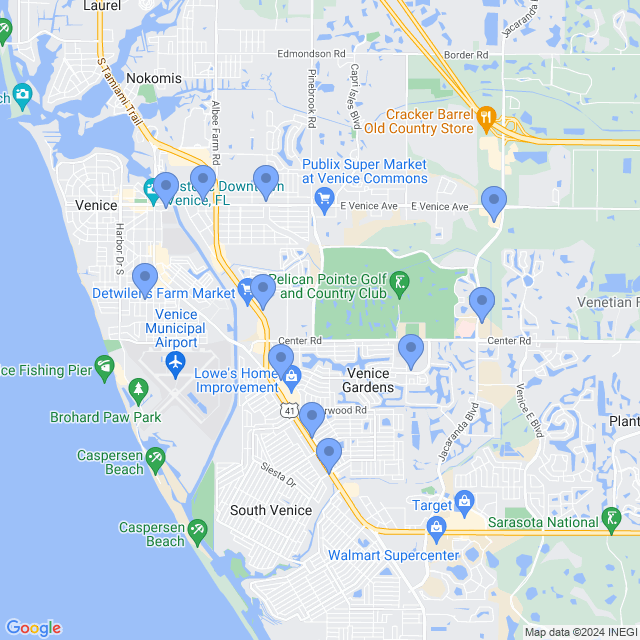 Map of veterinarians in Venice, FL