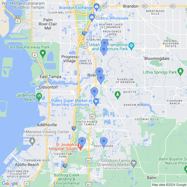 Map of veterinarians in Riverview, FL