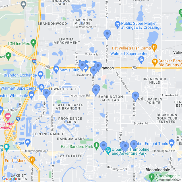 Map of veterinarians in Brandon, FL