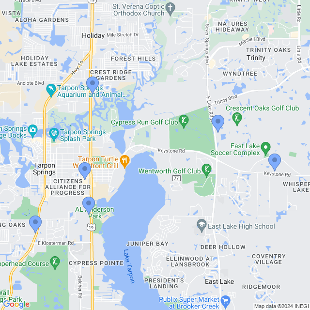Map of veterinarians in Tarpon Springs, FL
