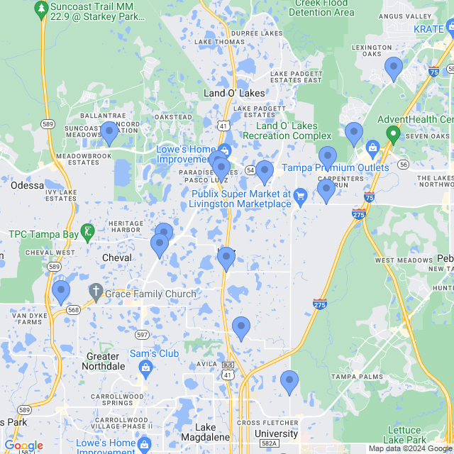 Map of veterinarians in Lutz, FL