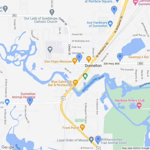 Map of veterinarians in Dunnellon, FL