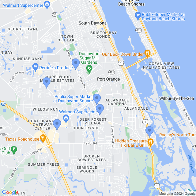 Map of veterinarians in Port Orange, FL