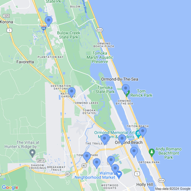 Map of veterinarians in Ormond Beach, FL