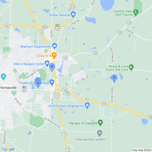 Map of veterinarians in Thomasville, GA