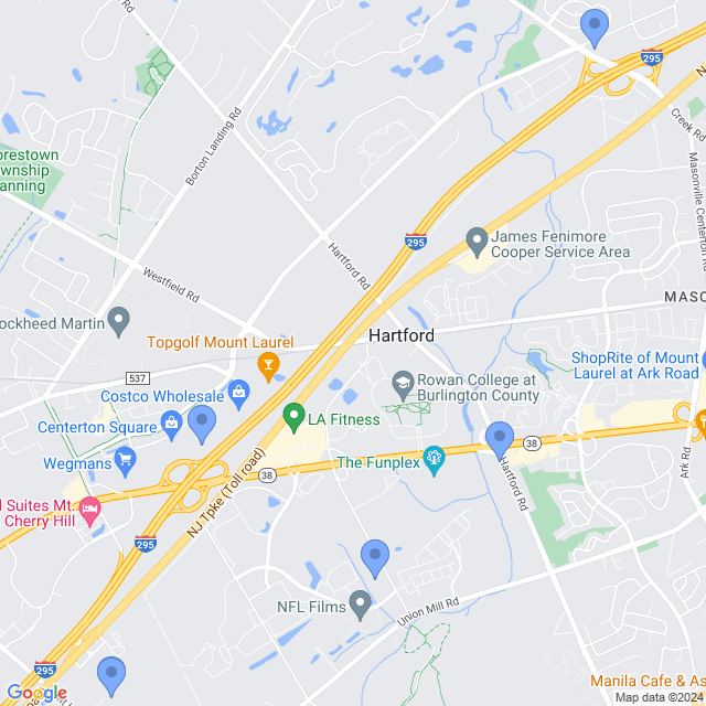 Map of veterinarians in Mt Laurel, NJ