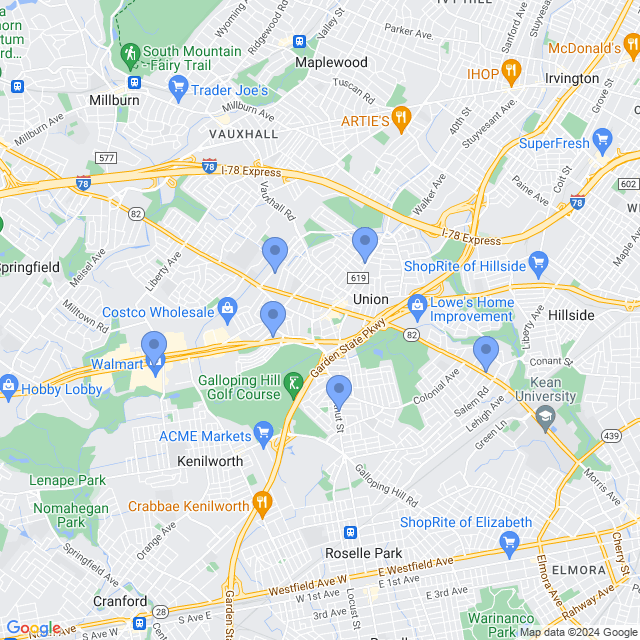 Map of veterinarians in Union, NJ