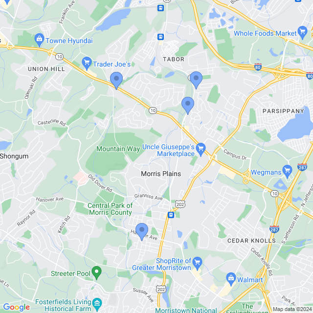 Map of veterinarians in Morris Plains, NJ
