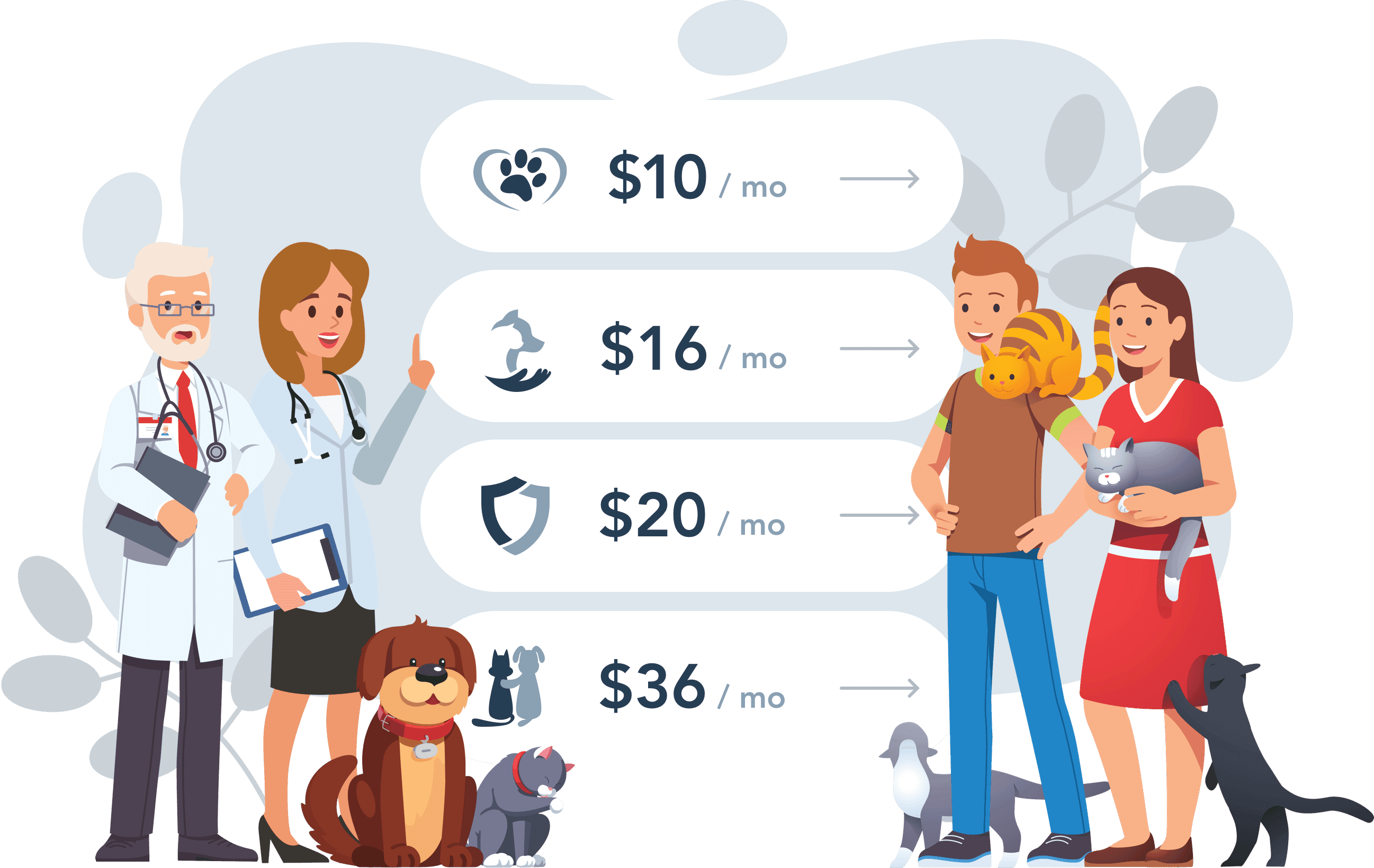 A vet explaining all the pricing options to a patient