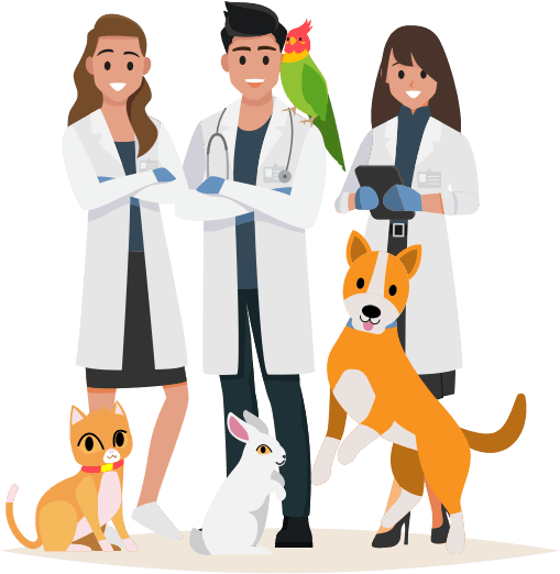 Veterinarians who recommend Pawlicy Advisor