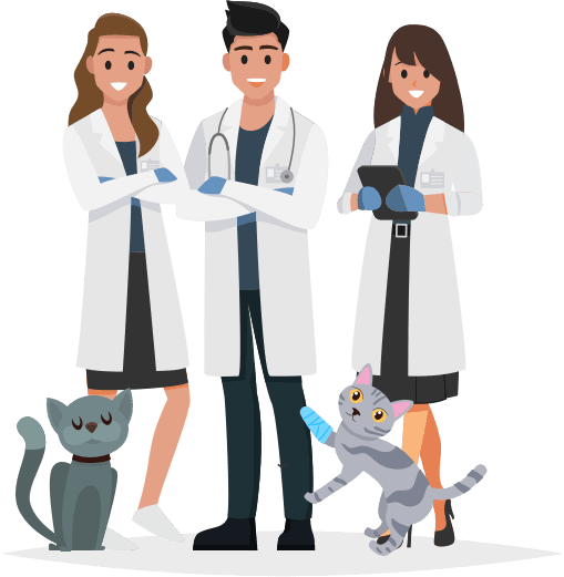 Veterinarians who recommend Pawlicy Advisor