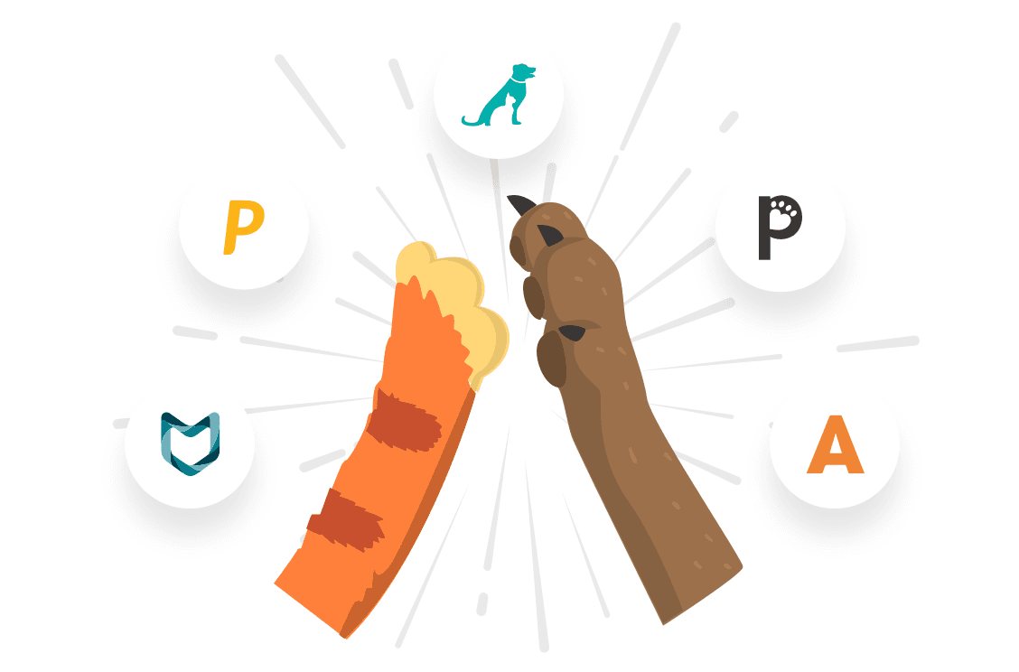 Leading pet insurance brands that are partnered with Pawlicy Advisor