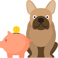 An insured pet being reimbursed for an accident.