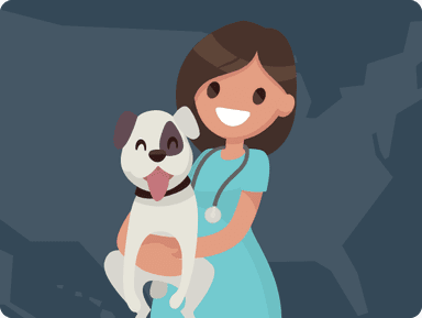 Dundalk Animal Hospital Info & How To Save | Near Dundalk, MD 21222