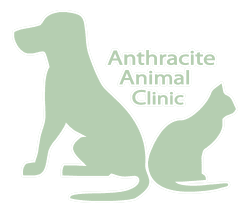 Anthracite Animal Clinic Logo