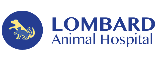 Lombard Animal Hospital Logo