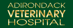 Adirondack Veterinary Hospital Logo