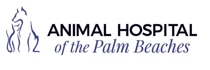 Animal Hospital of Palm Beaches Logo