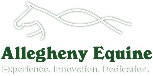Allegheny Equine Logo