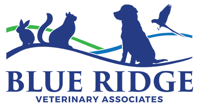 Blue Ridge Veterinary Associates Logo
