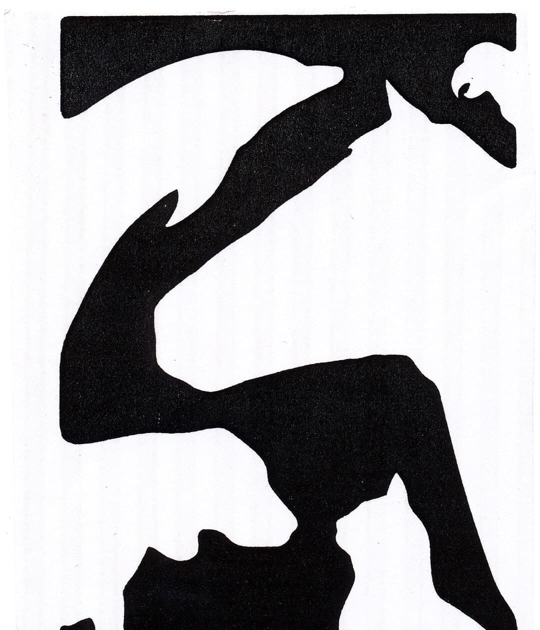 Bayside Hospital For Animals Logo