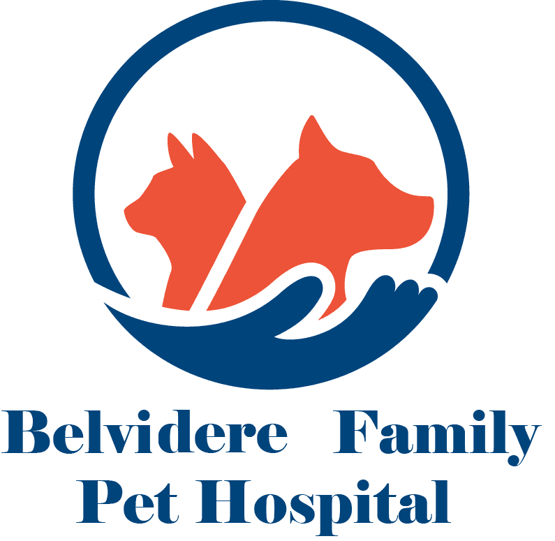 Belvidere Family Pet Hospital Logo