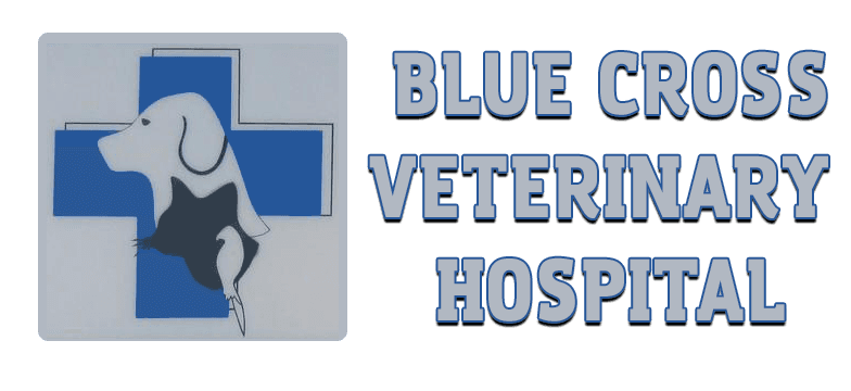Blue Cross Veterinary Hospital Logo