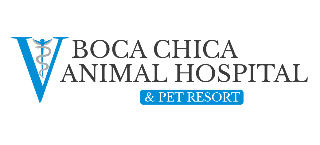 Boca Chica Animal Hospital Logo