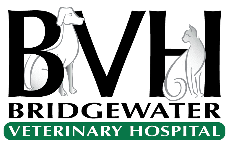 Bridgewater Veterinary Hospital Logo