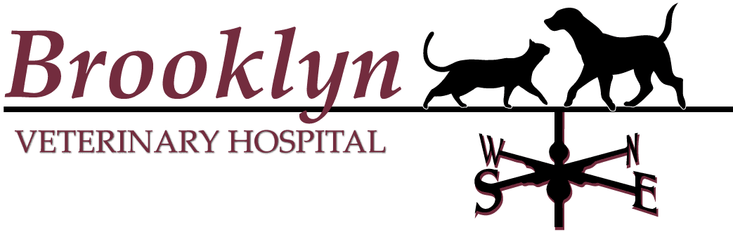Brooklyn Veterinary Hospital Logo