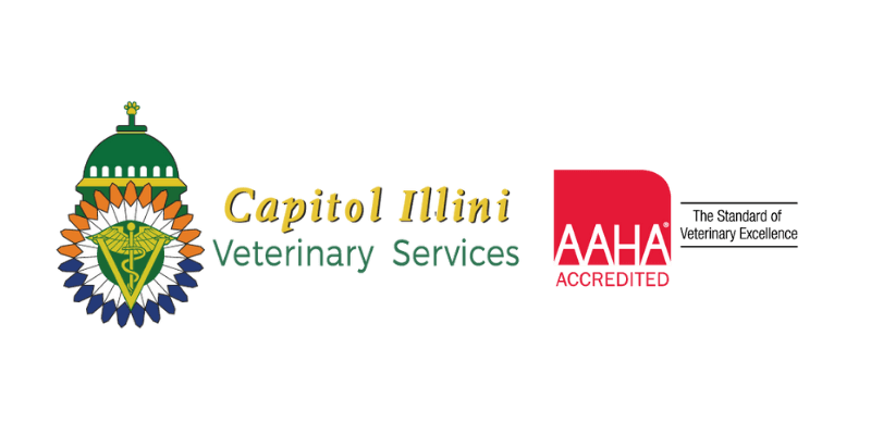 Capitol Illini Chatham Vet Logo