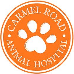 Carmel Road Animal Hospital Logo
