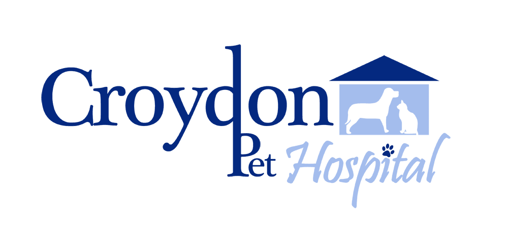 Croydon Pet Hospital Logo