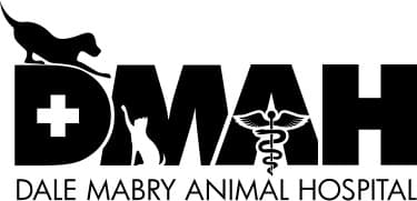 Dale Mabry Animal Hospital Logo