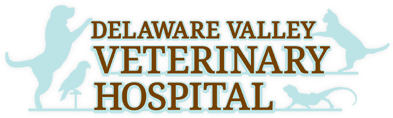 Delaware Valley Veterinary Logo