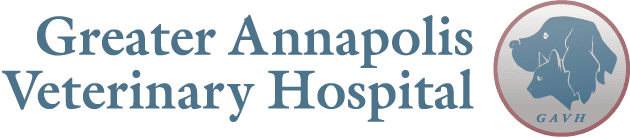 Greater Annapolis Vet Hospital Logo