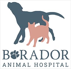 Park Veterinary Hospital & Urgent Care Logo