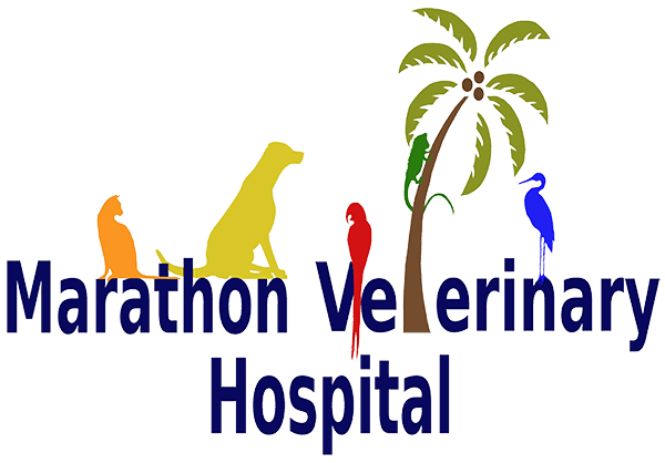 Marathon Veterinary Hospital Logo