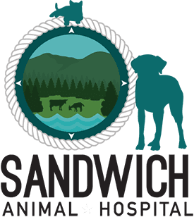 Sandwich Animal Hospital Logo