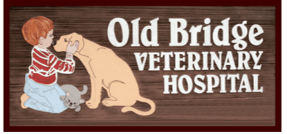 Old Bridge Veterinary Hospital Logo