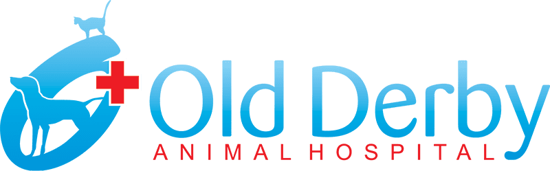Old Derby Animal Hospital Logo