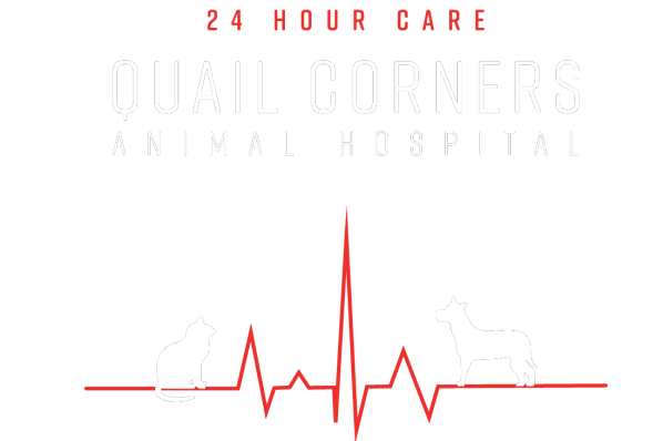 Quail Corners Animal Hospital Logo