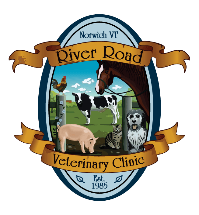 River Road Veterinary Clinic Logo