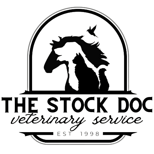 The Stock Doc Logo