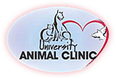 University Animal Clinic - Bradenton, FL Logo