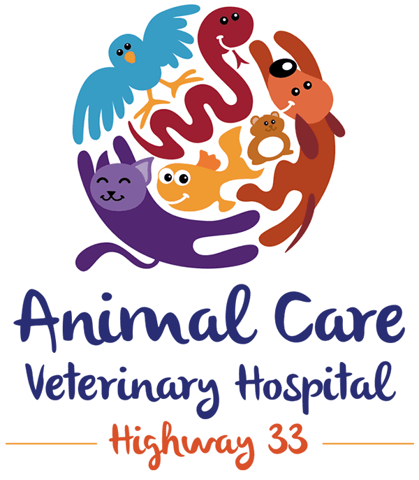 Trinity Veterinary Hospital Logo