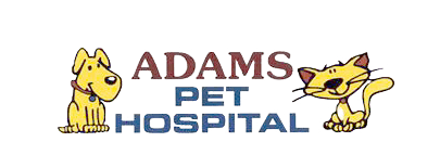Adams Pet Hospital Logo