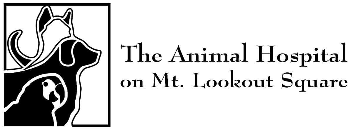 The Animal Hospital on Mt Lookout Square Logo