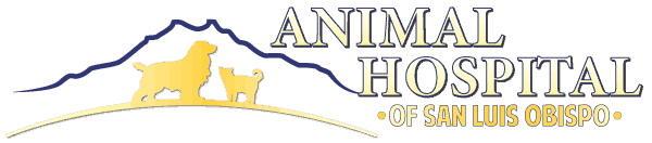 Animal Hospital of San Luis Obispo Logo