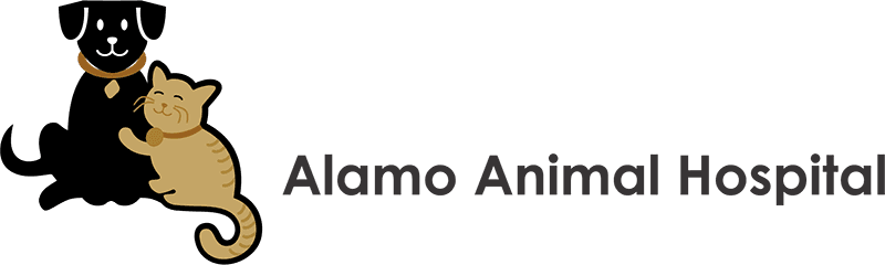 Alamo Animal Hospital Logo